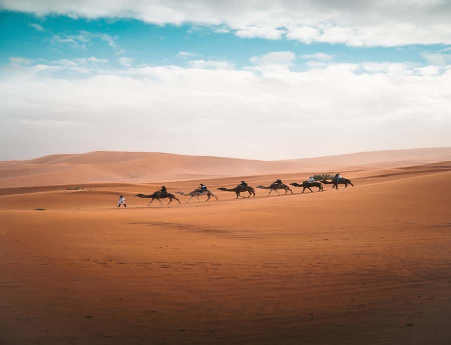 the luxury 2days 1night desert tour from fez to fez/marakech - Music, sandboarding, and the details that vary