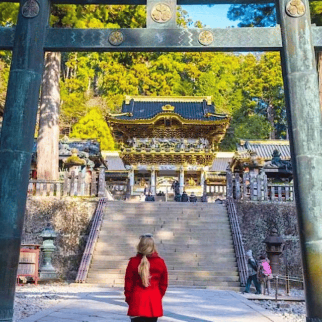 Tokyo: Luxury Nikko Private 1 Day Tour Low Price Guaranteed - What the drivers add to the day