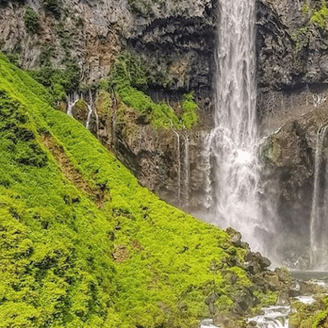 Tokyo: Luxury Nikko Private 1 Day Tour Low Price Guaranteed - The value of $410 for up to six people