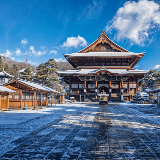 Tokyo: Luxury Nikko Private 1 Day Tour Low Price Guaranteed - The private ride and what you receive