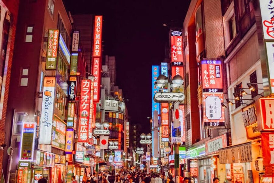 Tokyo:Luxury Private Tour with English-Speaking driver - Key points to know before booking