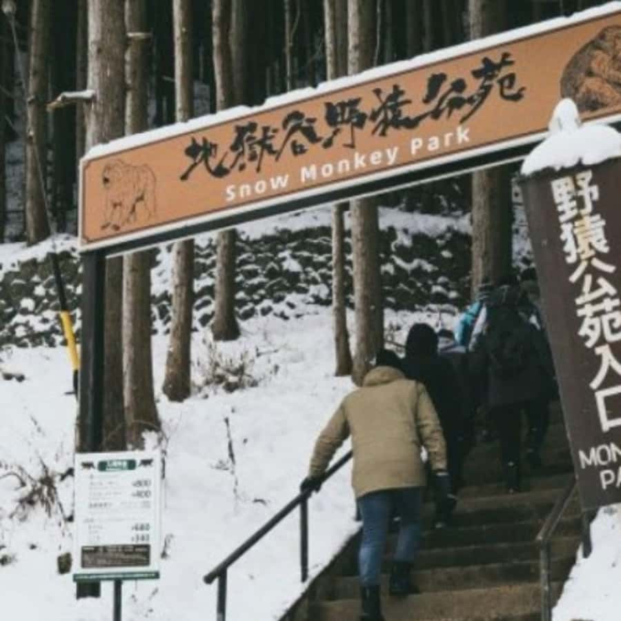 Tokyo: Luxury Snow Monkey Park Private Tour In Land Cruiser - Key points to know before booking