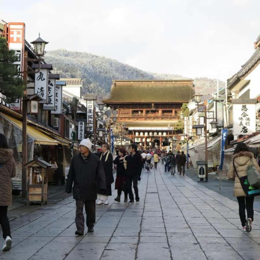 Tokyo: Luxury Snow Monkey Park Private Tour In Land Cruiser - What the guide and driver add