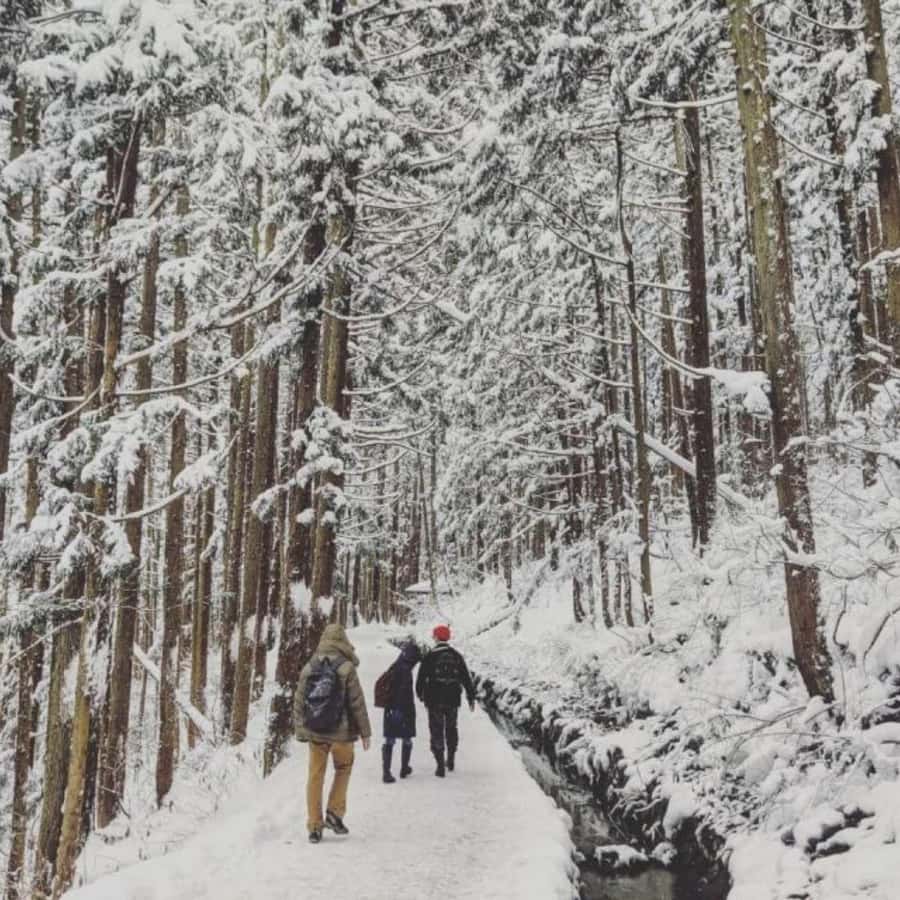 Tokyo: Luxury Snow Monkey Park Private Tour In Land Cruiser - Reaching Jigokudani Monkey Park
