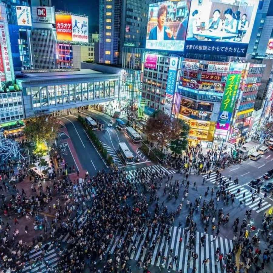 Tokyo: Luxury Tokyo Private City Tour In Luxury Land Cruiser - What the guide service adds