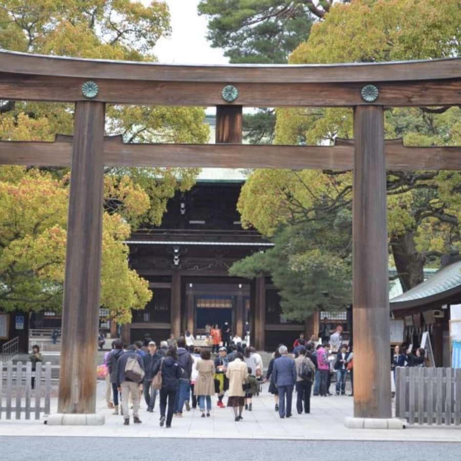 Tokyo: Luxury Tokyo Private City Tour In Luxury Land Cruiser - How much value do you get for $773?