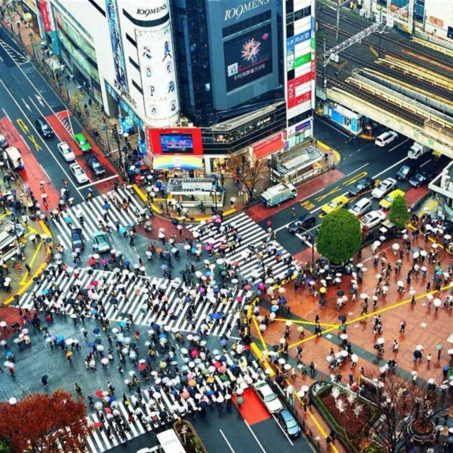 Tokyo: Luxury Tokyo Private City Tour In Luxury Land Cruiser - Who should book this private Tokyo day?