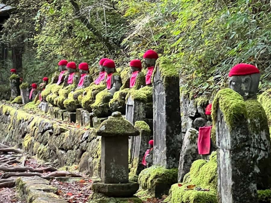 Tokyo: Private Nikko Sightseeing Tour In Luxury Land Cruiser - Why a private Nikko day trip makes sense
