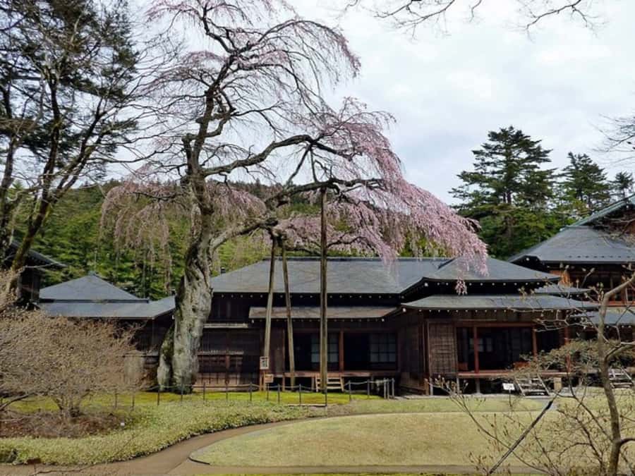 Tokyo: Private Nikko Sightseeing Tour In Luxury Land Cruiser - Kegon Falls and Akechidaira