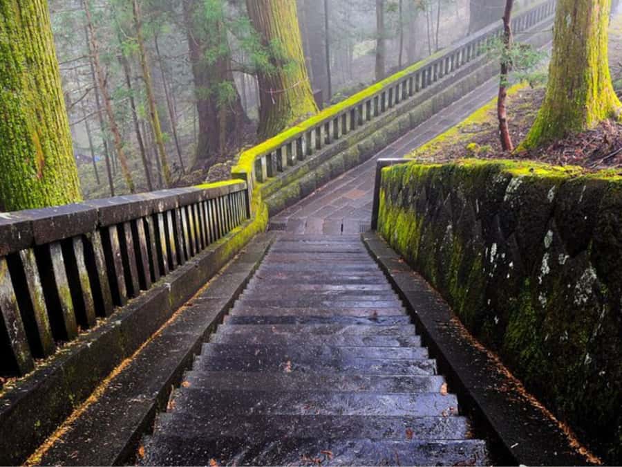 Tokyo: Private Nikko Sightseeing Tour In Luxury Land Cruiser - Futarasan Shrine and Narabi Jizo
