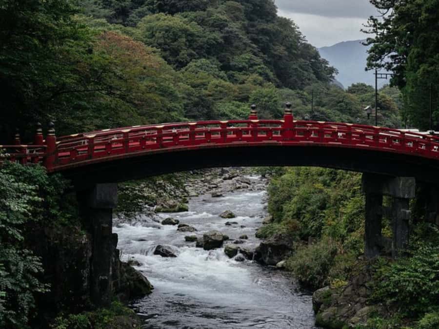 Tokyo: Private Nikko Sightseeing Tour In Luxury Land Cruiser - Tamozawa Imperial Villa and Edo Wonderland