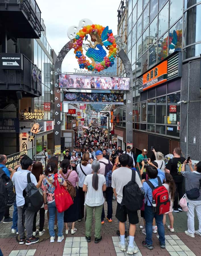 Tokyo Private Tour English Pro Guide By Luxury Vehicle - What the guide adds to a private vehicle