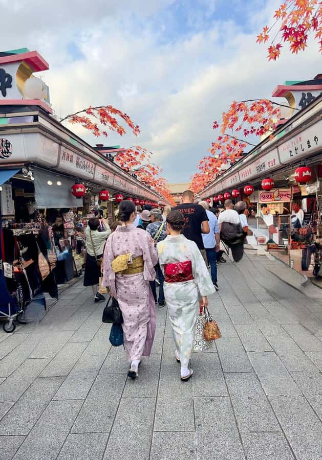 Tokyo Private Tour English Pro Guide By Luxury Vehicle - Shibuya Crossing gives you Tokyo at full speed