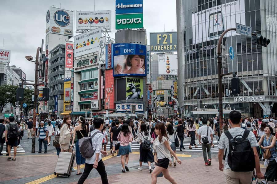Tokyo Private Tour English Pro Guide By Luxury Vehicle - Tsukiji is the place to spend money on lunch