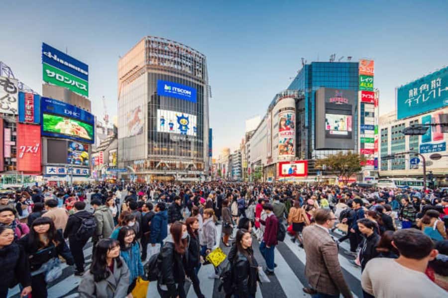 Tokyo Private Tour English Pro Guide By Luxury Vehicle - Shinjuku and Ginza show two sides of modern Tokyo