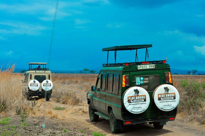 Top Best 5 Days Tanzania Luxury Safari to Serengeti - Day Two: Crossing Ngorongoro Toward Serengeti