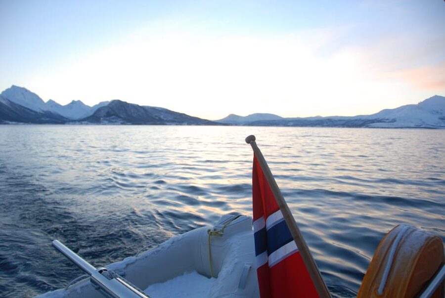 Tromsø: Fjord and Islands Luxury Catamaran Cruise - The guides make the difference
