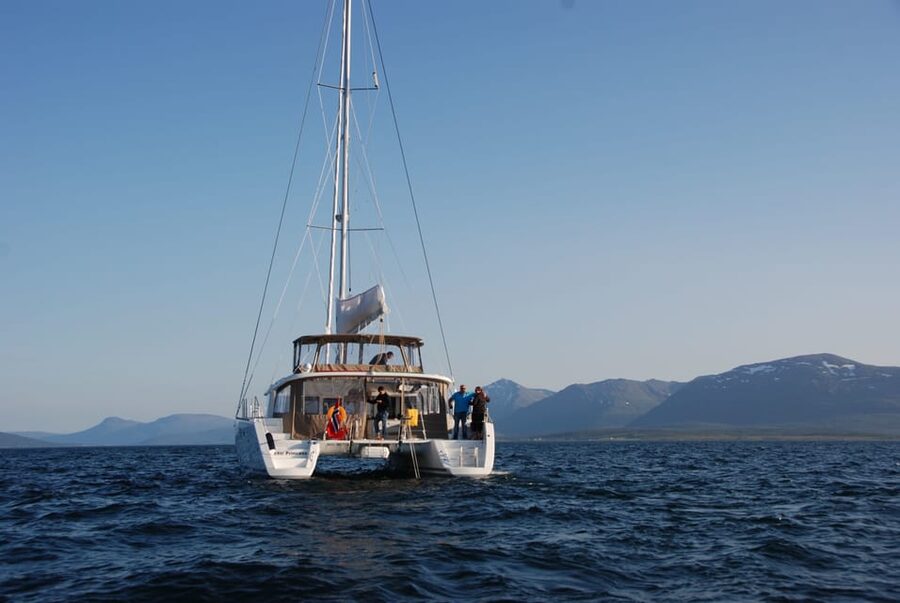 Tromsø: Fjord and Islands Luxury Catamaran Cruise - Is $208 a fair price?