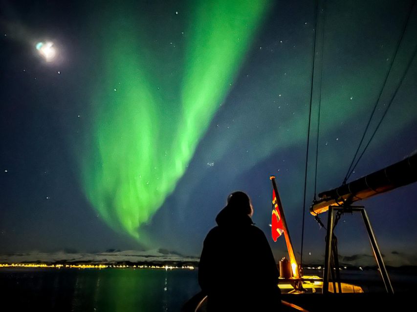 Tromso: Luxury Northern Lights Cruise with Hot Tub & Dinner - The $309 price and what you receive
