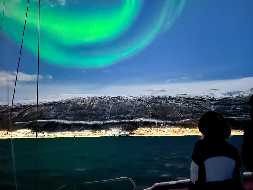 Tromso: Luxury Northern Lights Cruise with Hot Tub & Dinner - Who should book this cruise