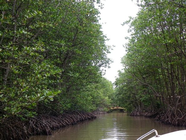 Vam Sat Mangrove Forest - VIP Private Tour - Key points to know before you book