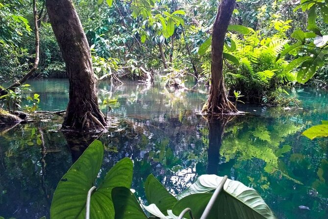 Vam Sat Mangrove Forest - VIP Private Tour - Monkeys, crocodiles, and the most playful stops