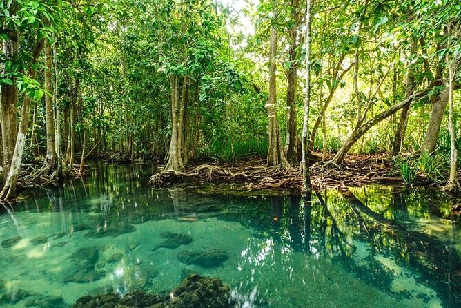 Vam Sat Mangrove Forest - VIP Private Tour - What the guides add to the day