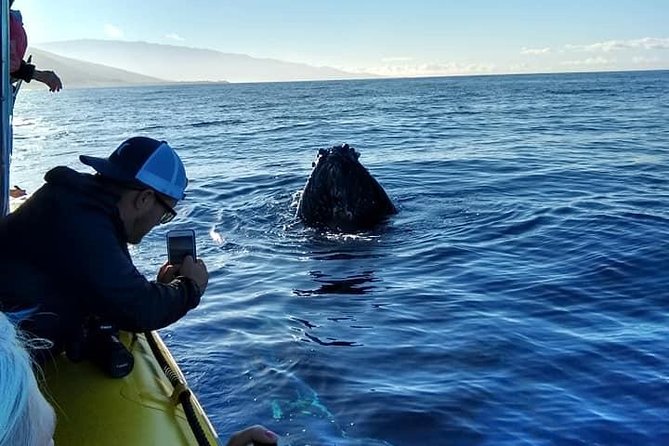 VIP (12 Guests ONLY) Ultimate Whale Watch - Who will enjoy this raft most