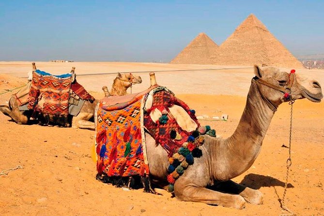 VIP All inclusive Best of Giza Pyramids, Sphinx, Sakkara, Memphis - The Egyptian Museum question