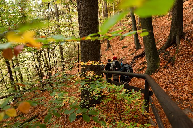VIP Best Reviews: Bohemian & Saxon Switzerland from Prague - Pravcicka Gate adds a serious walking option