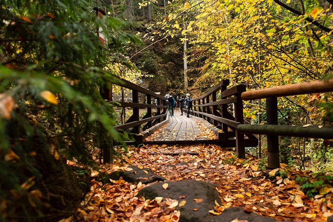 VIP Best Reviews: Bohemian & Saxon Switzerland from Prague - The Kamenice Gorges offer a quieter change of pace