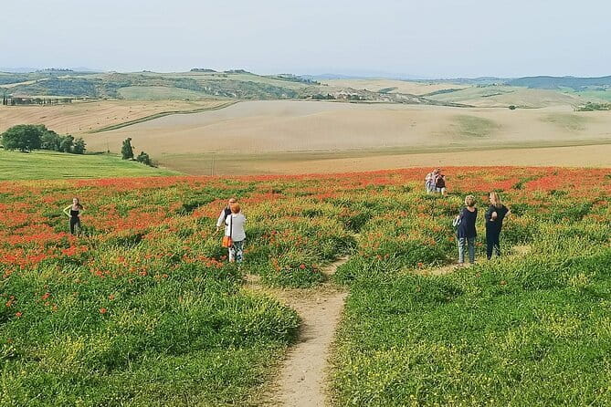 VIP Brunello Montalcino, Montepulciano & Val d'Orcia with Lunch - Crossing Chianti and passing Monteriggioni