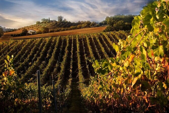 VIP Brunello Montalcino, Montepulciano & Val d'Orcia with Lunch - What the day does especially well