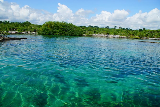 VIP Cenotes Private Tour - Three cenotes, three very different experiences