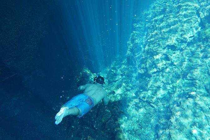 VIP Cenotes Private Tour - Transport, timing, and what is included
