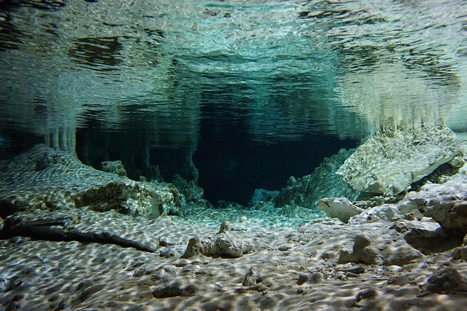 VIP Cenotes Private Tour - Is $205 per person fair?