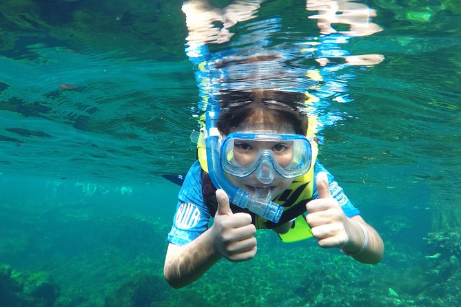 VIP Cenotes Private Tour - Yal-ku Lagoon: the best stop for fish