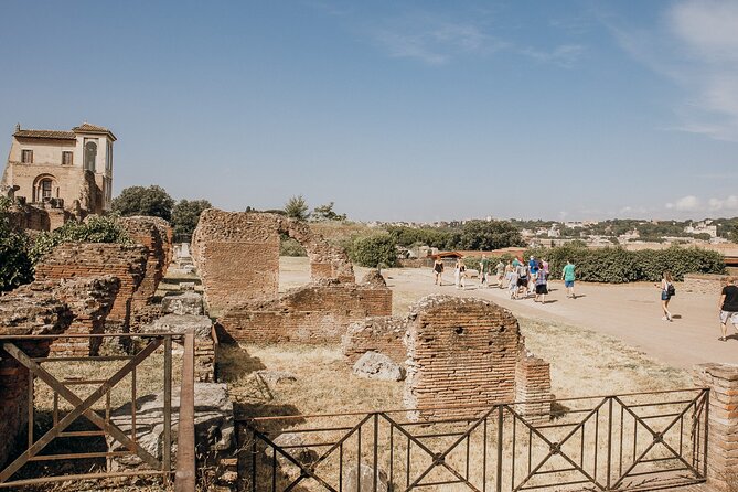 VIP Colosseum, Roman Forum & Palatine Hill & Special Access Sites - The Colosseum, from the first and second tiers