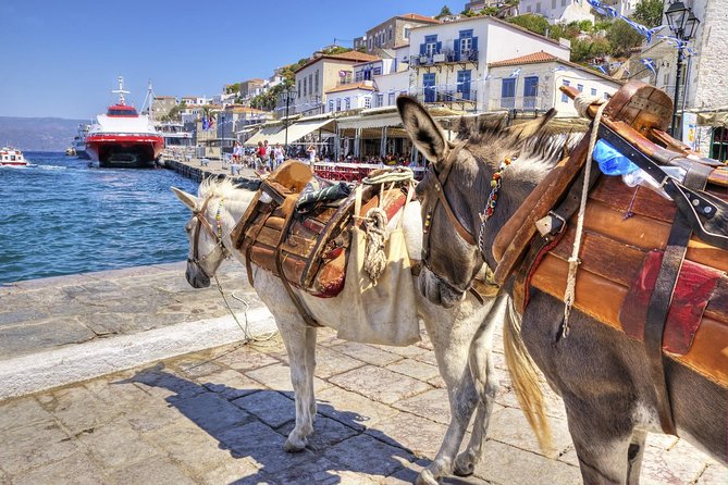 VIP Day Cruise from Athens to Hydra, Poros and Aegina - Guides, language, and group size