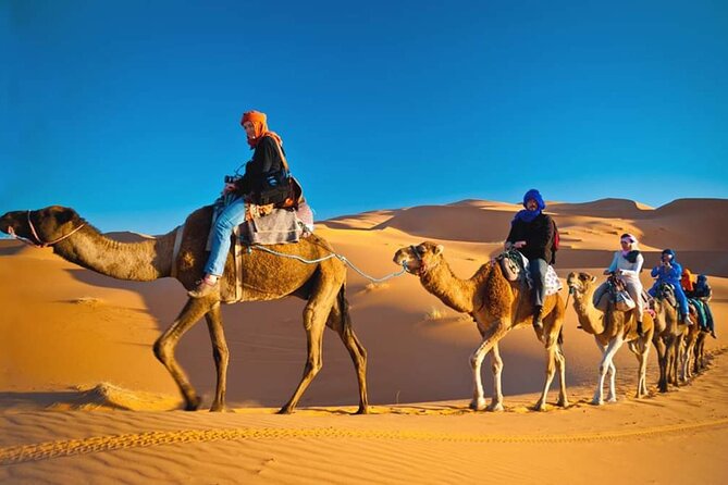 VIP Desert Safari Dubai - Arabic barbecue and international buffet dinner