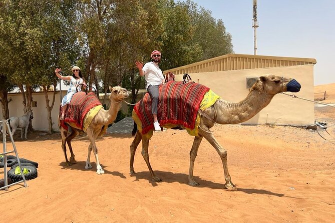 Vip Desert Safari Dubai with Camel Riding BBQ Dinner & Live Shows - Who will get the most from this tour?