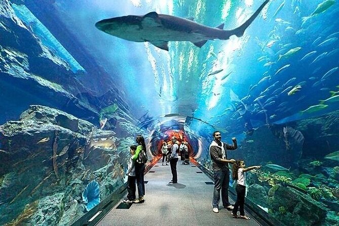 VIP Experience Dubai Aquarium & Underwater Zoo-As per Selection - King Croc is the animal you will remember