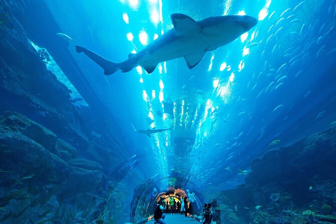 VIP Experience Dubai Aquarium & Underwater Zoo-As per Selection - Practical details that can save frustration