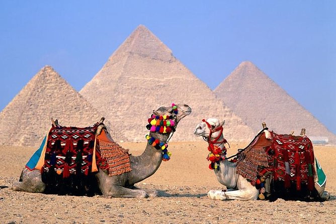 VIP Giza pyramids ,sphinx,Camel ride lunch and inside the pyramid - At the Giza Plateau, start with the main pyramid field