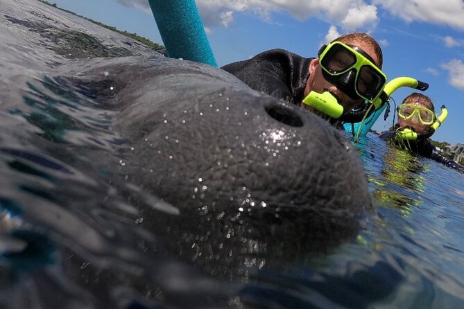 VIP Private Boat Manatee Snorkel Tour with In-Water Guide and Photograper - Key details at a glance