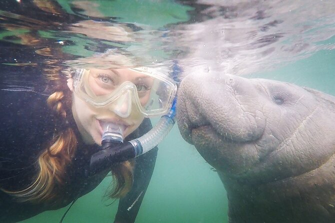 VIP Private Boat Manatee Snorkel Tour with In-Water Guide and Photograper - Why Crystal River is special for manatees