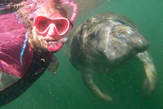 VIP Private Boat Manatee Snorkel Tour with In-Water Guide and Photograper - Boarding the clean private boat