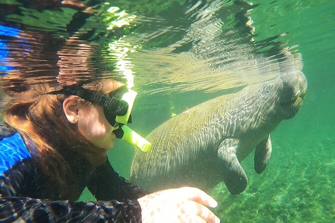 VIP Private Boat Manatee Snorkel Tour with In-Water Guide and Photograper - Getting ready for the water