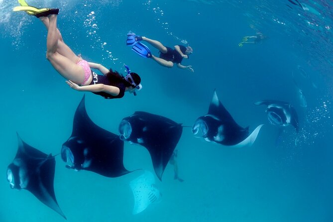 VIP Private Boat to Nusa Penida: Snorkeling with Mantas + Land Tour Adventure - Crystal Bay, one calm hour on the west coast