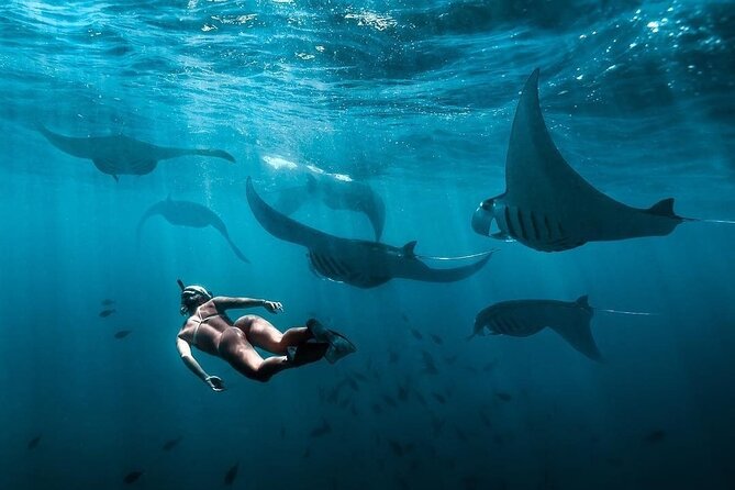 VIP Private Boat to Nusa Penida: Snorkeling with Mantas + Land Tour Adventure - What $849 per person really buys